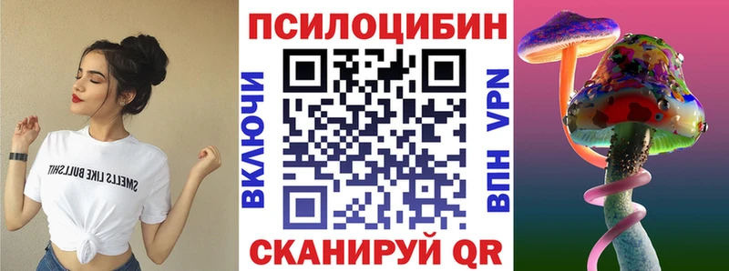 OMG зеркало  Зерноград  Галлюциногенные грибы Psilocybine cubensis 